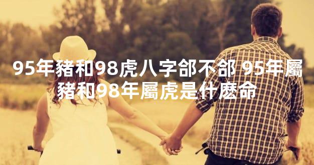 95年豬和98虎八字郃不郃 95年屬豬和98年屬虎是什麽命